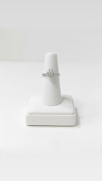 ANELLO DAFNE
